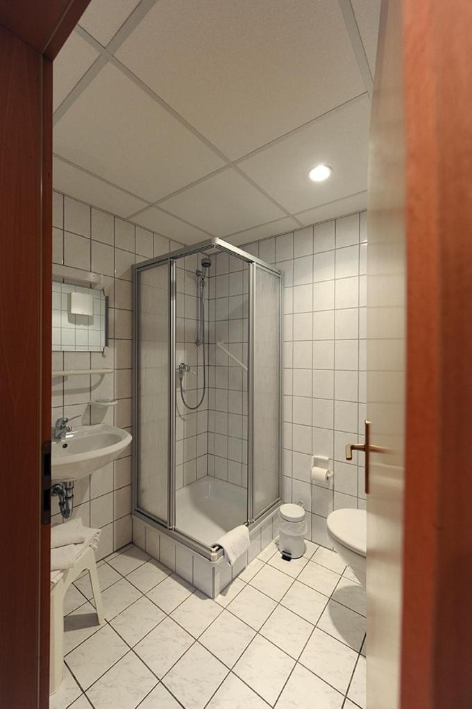 Landhotel Der Distelhof Mit Scheunencafe Dillstadt Экстерьер фото